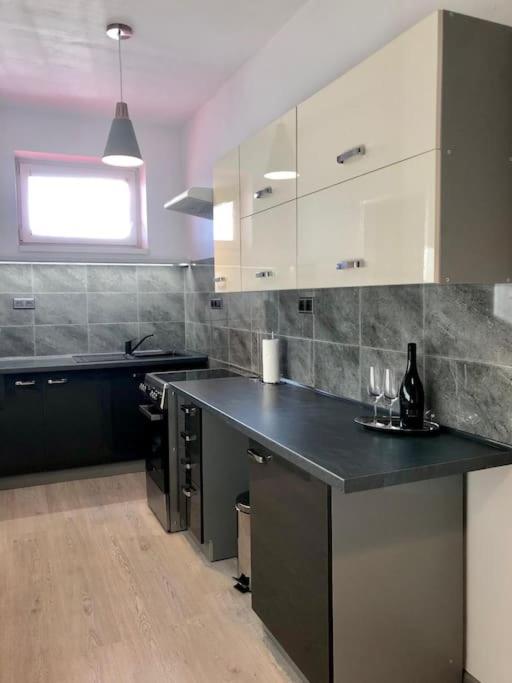 Spacious Apartment Near Hockey And Football Arena 布拉迪斯拉发 外观 照片